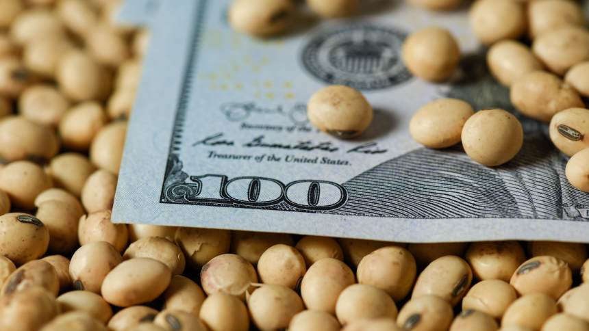 O enigma do dólar perto dos R$ 5,50: isso é bom ou ruim para a soja?