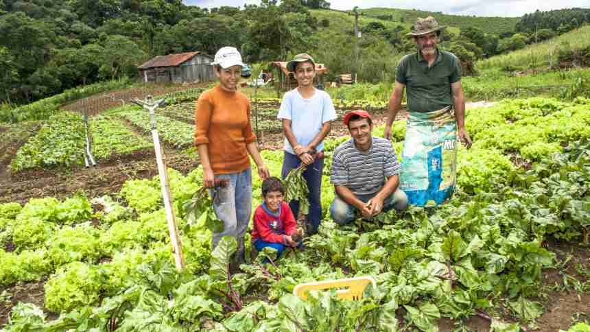 Com mais de R$ 70 bilhões para agricultura familiar, Plano Safra supera R$ 440 bilhões