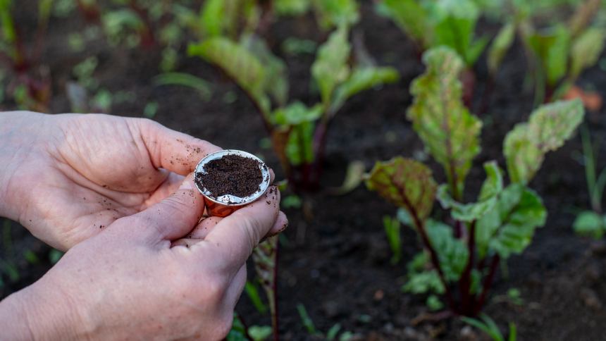 Vai um cafezinho Net Zero? Em breve na cápsula da Nespresso