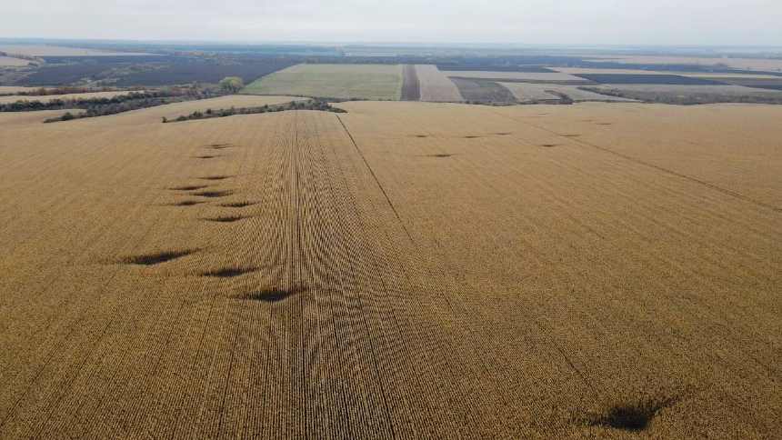 Solidariedade no campo: movimento global leva ajuda aos agricultores ucranianos