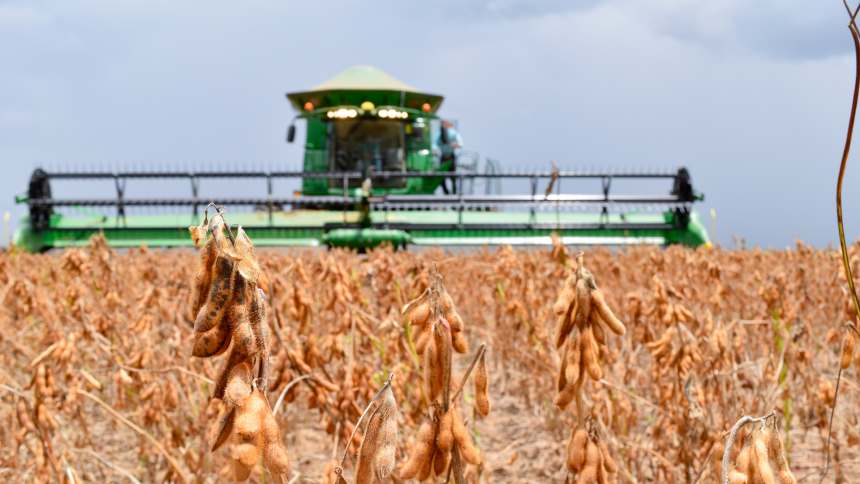 Fiagro de terras agrícolas lidera valorização e aponta potencial de mercado de R$ 4 trilhões