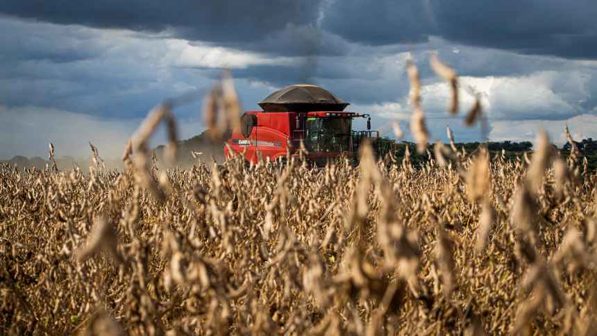 Safra da cautela marca início de novo ciclo para o agro brasileiro, diz Itaú BBA