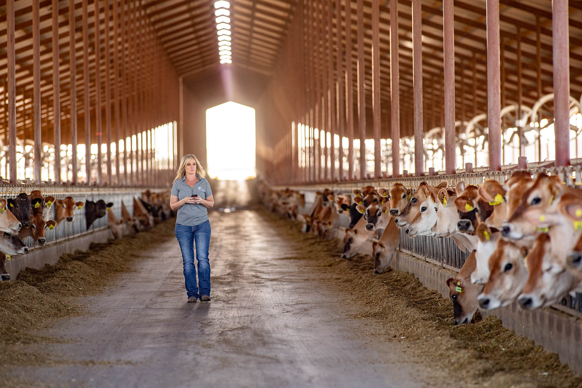 "Irmã" de Alta Genetics e Genex, VAS chega ao Brasil para tornar as vacas mais eficientes