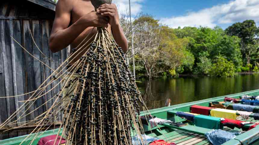 A revolução ESG da Amazônia