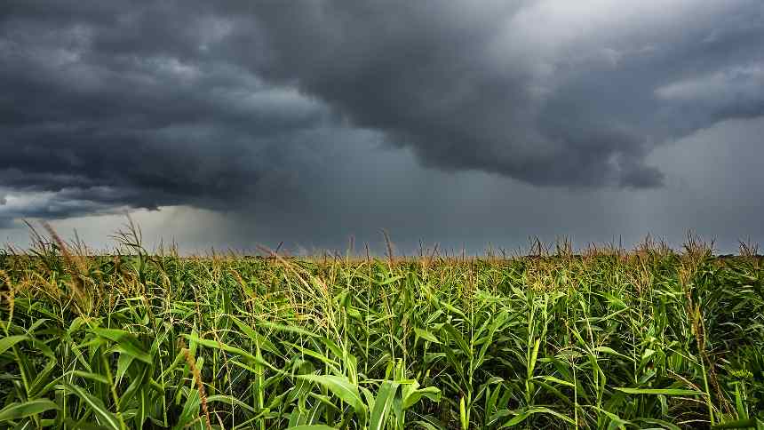 Climatech Ignitia promete, com precisão, mostrar a hora de tirar o cavalinho da chuva