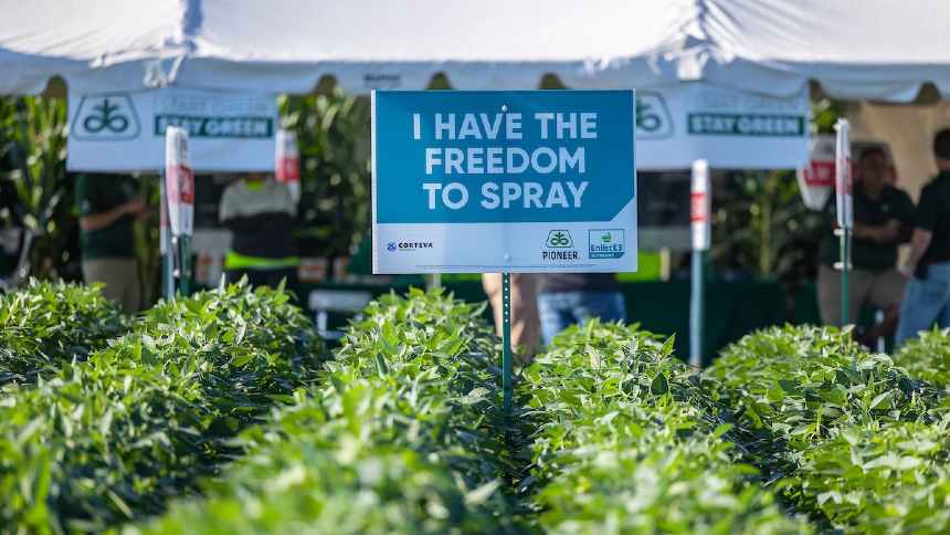 Corteva e Bayer duelam, semente a semente, pelo produtor americano de soja