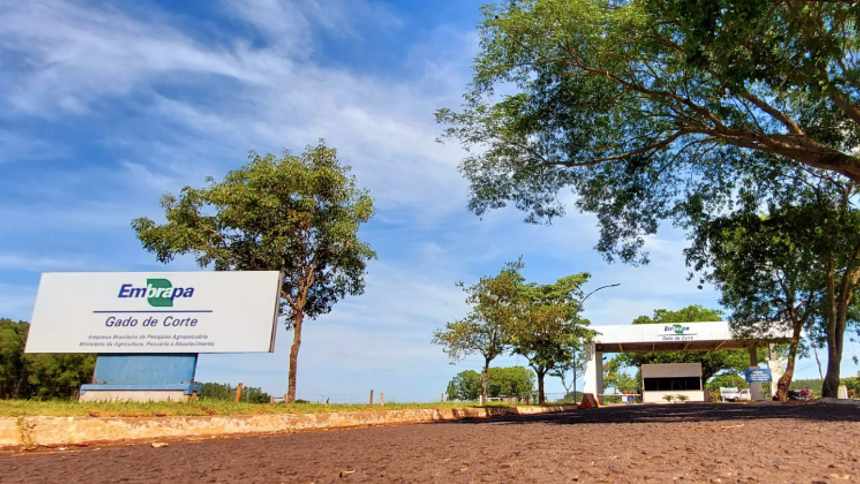 Na Embrapa, Inteligência Artificial já calcula peso de gado e frutas em um pomar