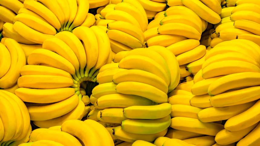 Startup usa inteligência artificial para identificar “o que as bananas estão dizendo”