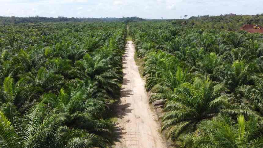 Com mais biodiesel no tanque, pequenos agricultores ganham estímulo para produzir