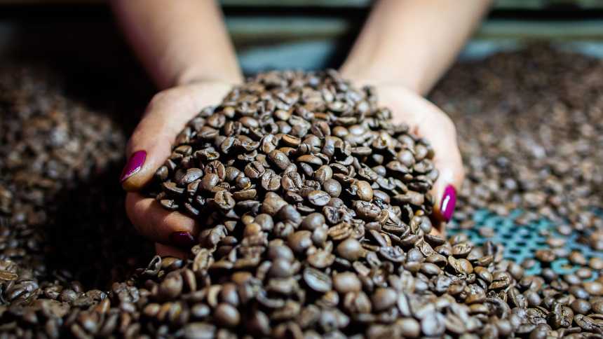 Após Fiagro de R$ 70 milhões, Culttivo leva crédito a cafeicultores e projeta nova captação