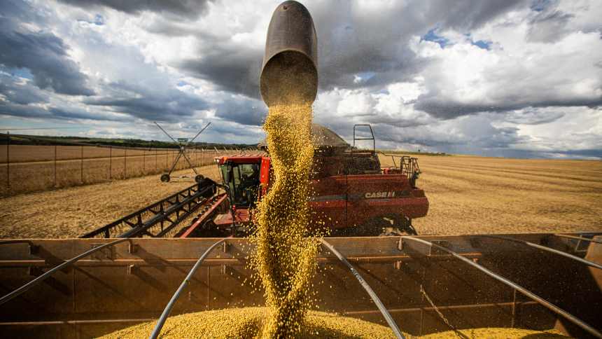 Novos dados confirmam: safra de soja vem “cheia” e com turbulências de preços