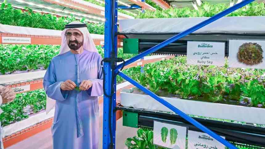 Árabes despejam bilhões para transformar a região no centro global do foodtech