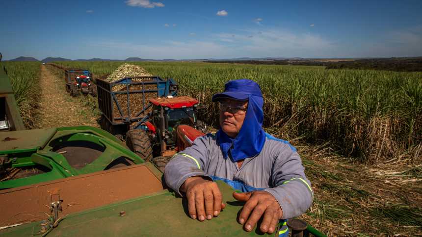 Clima deve impactar negativamente produtividade da Jalles Machado na safra 2025/2026