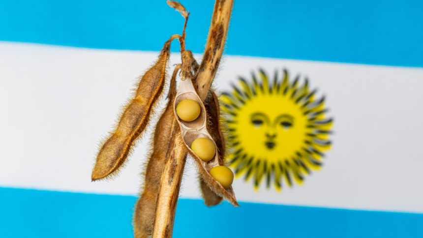 ARTIGO: Agro argentino perde fôlego com 22 anos de intervenções, mas mantém potencial