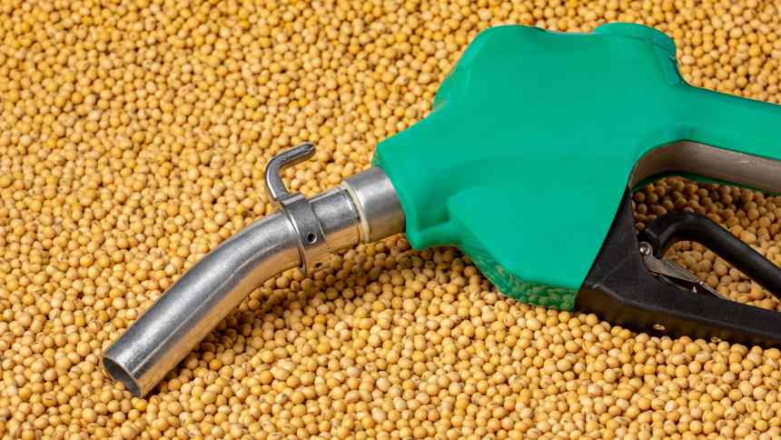Para a indústria de biodiesel, o Natal chegou com aumento da mistura no tanque