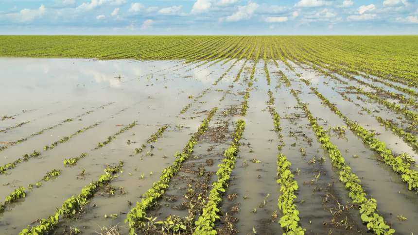 Seguro rural tem cenário complexo para 2024, mas El Niño 