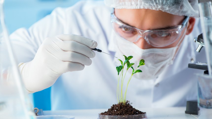 Biotecnologia lidera startups ativas na América Latina, mostra levantamento