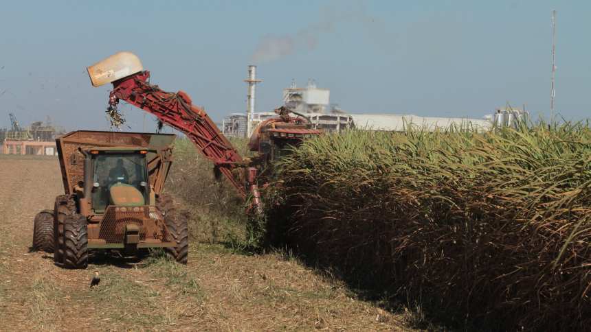 Um novo ano tão doce quanto 2023 para a cana-de-açúcar