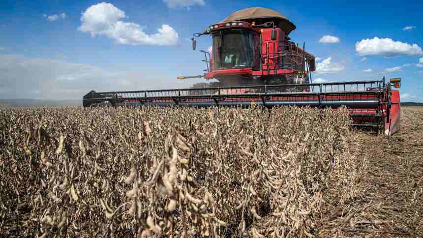 Com até 11 sacas menos por hectare no MT, Agroconsult reduz previsão para safra de soja