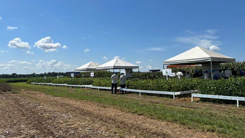 Bayer prepara a quarta geração transgênica de soja, de olho na resistência aos herbicidas