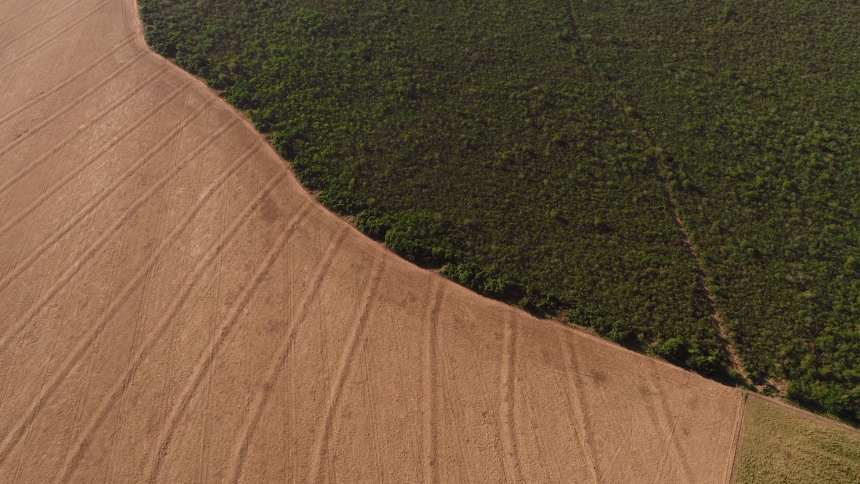 Grandes grupos acenam com US$ 10 bilhões para financiar agricultura sustentável