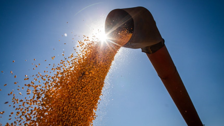 Safrinha de milho deve fechar conta, mas não compensa perdas com a soja, dizem produtores