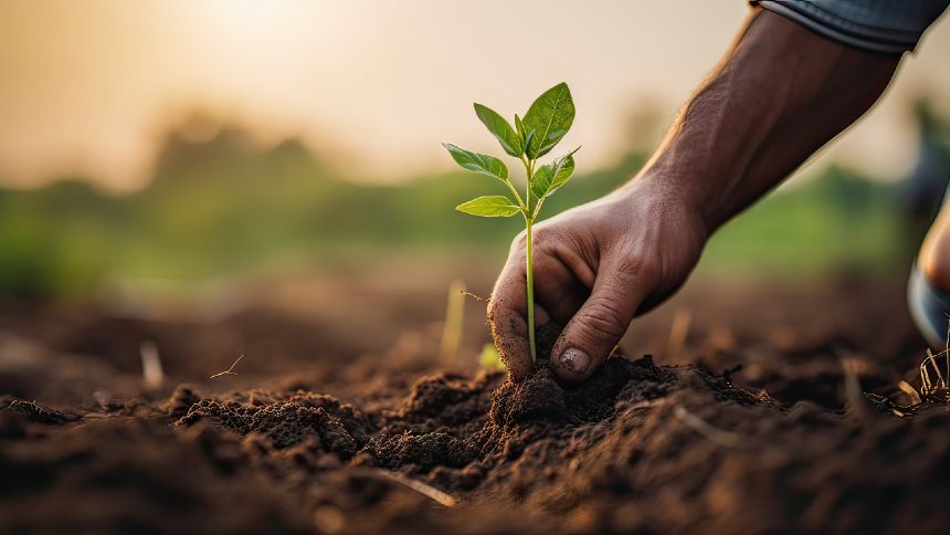 AgriForLife e Quanticum lançam primeiro indicador de agricultura regenerativa