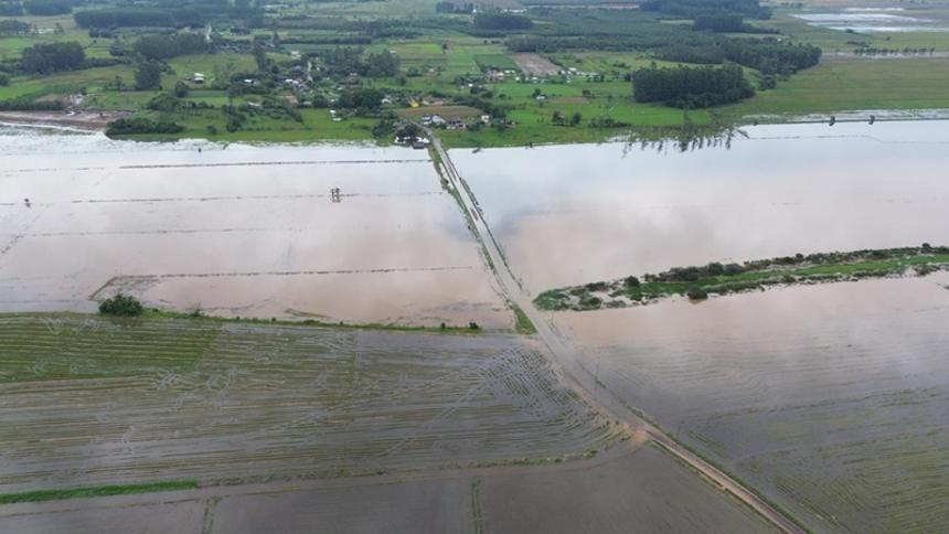 Com perdas na soja e no arroz, chuvas no RS podem trazer mais um impacto: a inflação