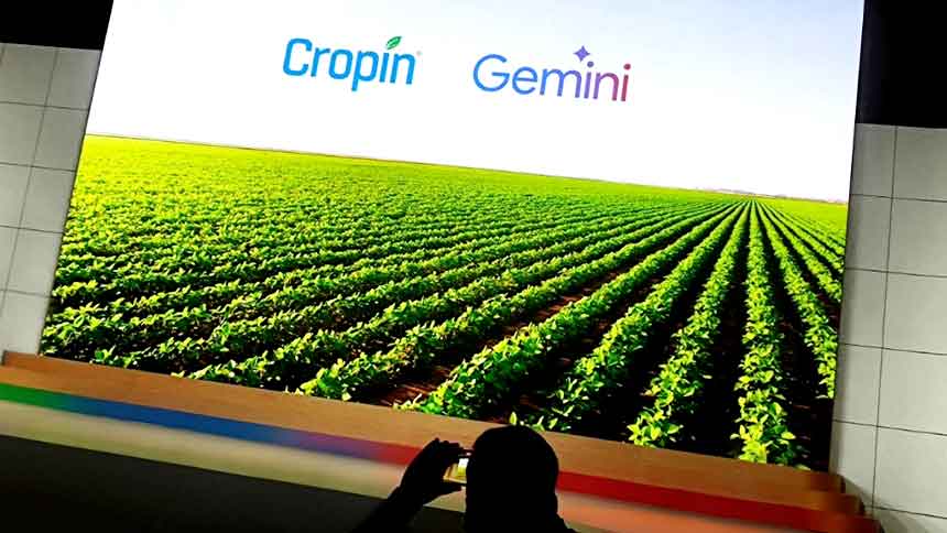 Aposta do Google na agricultura digital, Cropin se reforça para avançar no Brasil