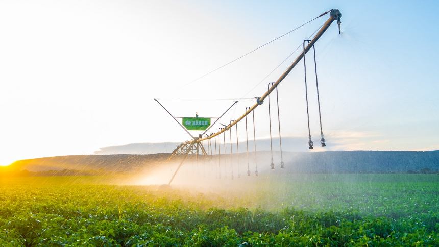 Com parceria, Coopercitrus e Bauer elevam receitas na contramão do mercado de irrigação