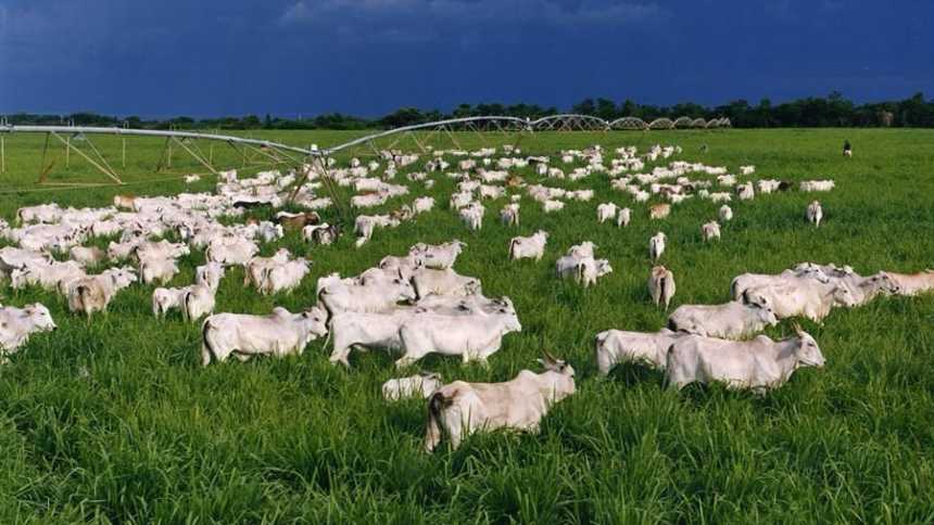 O agro, a fome e as conquistas da reforma tributária