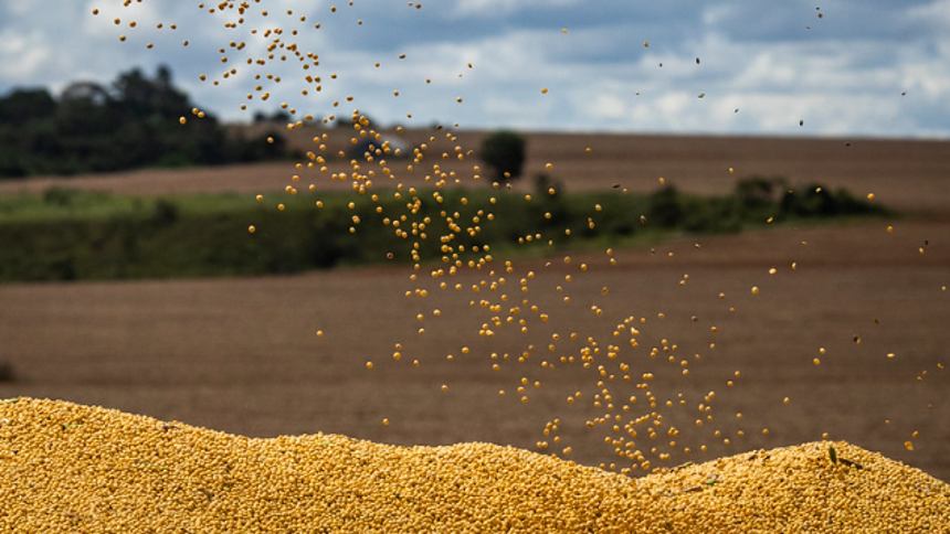 Na soja, recorde à vista (com avanço de área plantada), diz consultoria