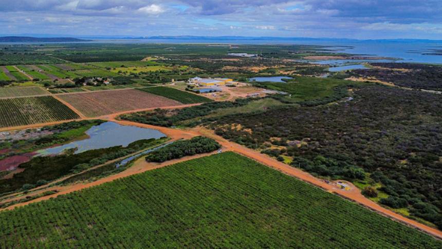 Impostos à vista: reforma tributária impacta imóveis rurais e arrendamento de terras