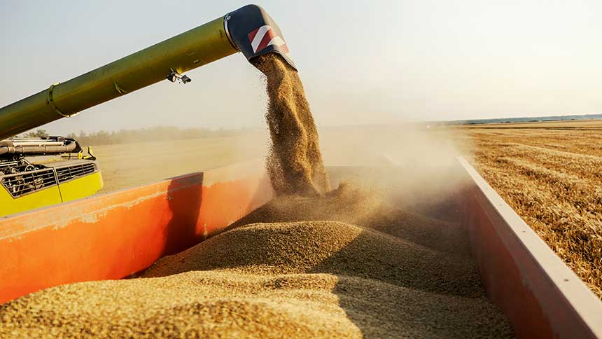 Cade entra em campo para avaliar atuação das tradings na moratória da soja