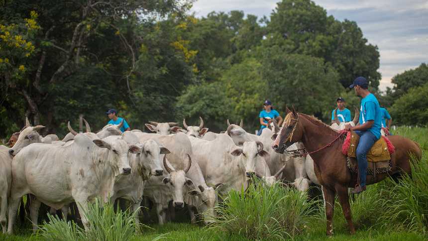 Fazendas da Fundação Bradesco plantam futuros profissionais do campo. E querem mais empresas na colheita