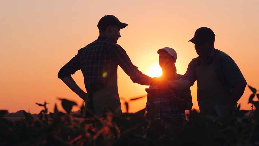 A estratégia do Bradesco para ajudar as famílias do agro a perpetuar o seu legado