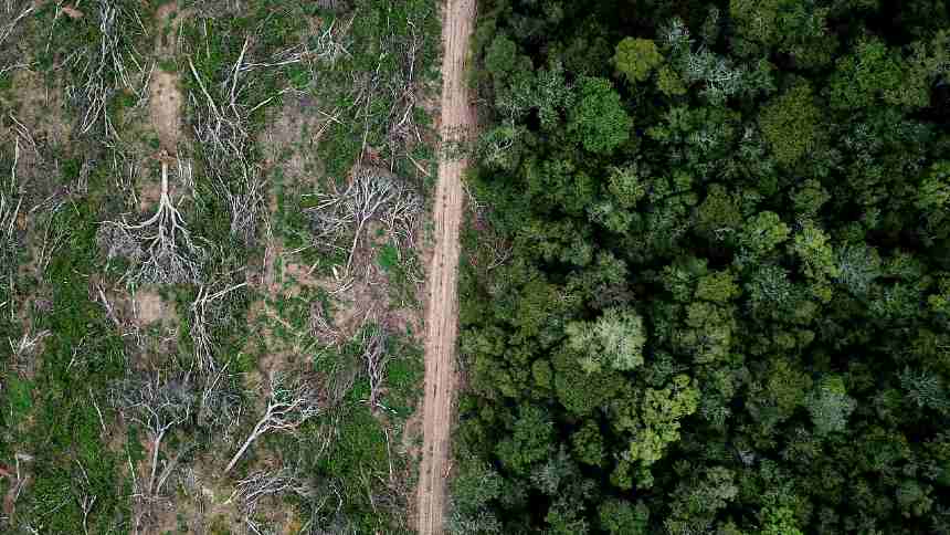 Líderes do agro pedem clareza sobre metas de redução de carbono e desmatamento