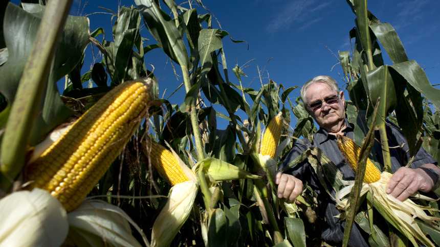 As novas lições do agricultor que ensinou o Brasil a plantar