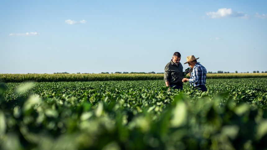 Aprosoja-MT x Bayer: agricultores vencem mais um round na disputa dos royalties da soja