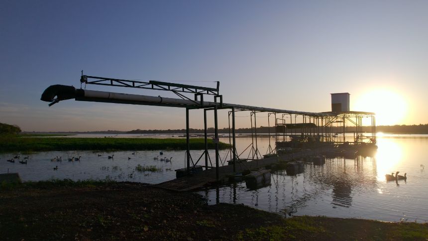 Com R$ 100 milhões e ideias ousadas, Brazilian Fish quer dobrar produção e vender “tilápia a preço de frango”