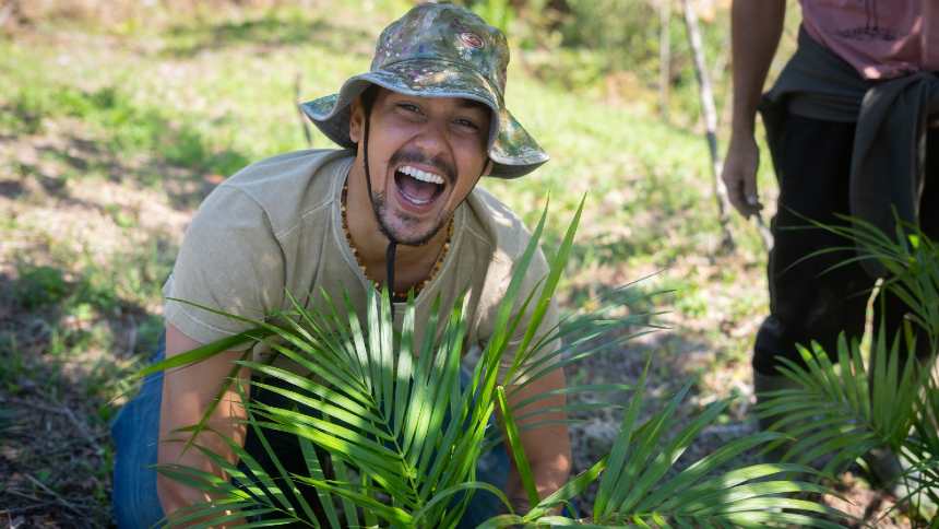 Startup Agroforestry Carbon “vende” nossas agroflorestas ao Velho Mundo