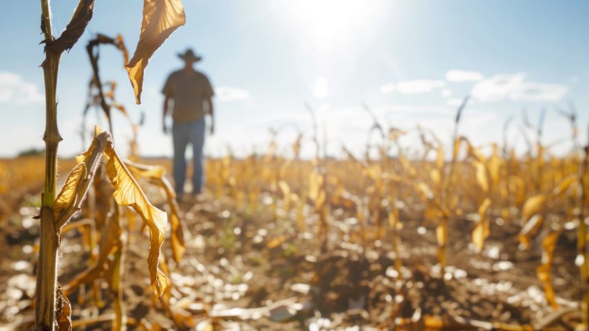 Preço de insumos e clima extremo tiram o sono de produtores, diz estudo global da McKinsey