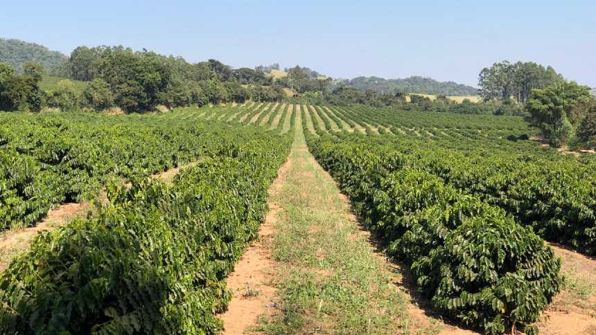 A agtech que foi testar seu biológico em uma fazenda - e saiu de lá com um investidor