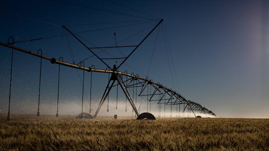 Mineira iCrop, de gestão de irrigação, abre o mapa para crescer 10 vezes até 2030