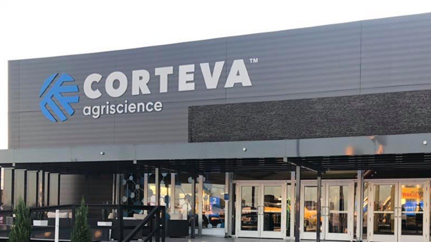 Corteva amplia disputa do trigo com variedade híbrida 10% mais produtiva