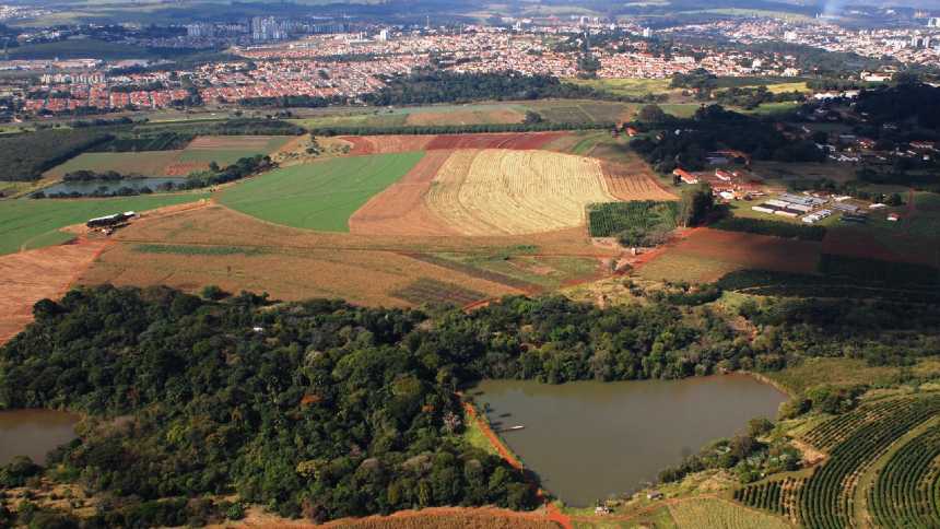 Retorno com pesquisas ou dinheiro em caixa com 