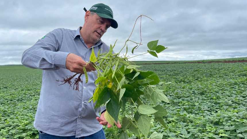 Dez em um, Grupo Ioshida planta diversificação para colher estabilidade