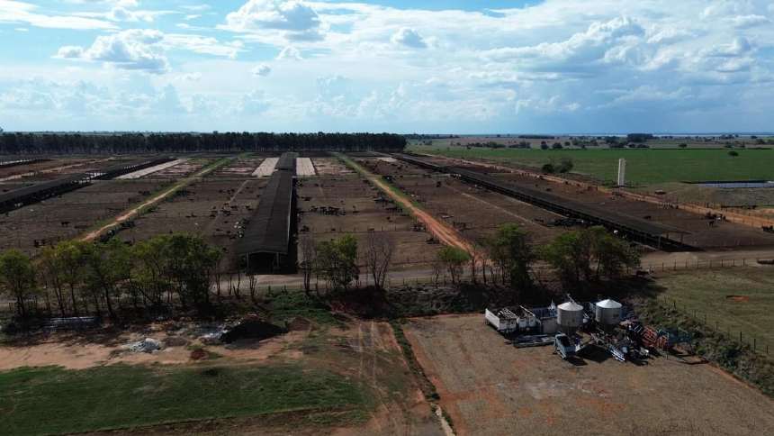 MFG, de Marcos Molina, amplia negócio de confinamento para fornecer bois ao Marfrig