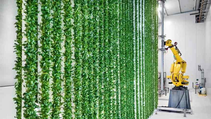 A queda vertical da Plenty, agtech investida de Jeff Bezos, Walmart e Softbank