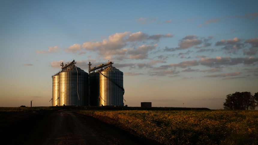 Safra cheia, silos lotados: pode faltar armazém para 130 milhões de toneladas de grãos